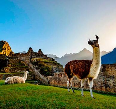 Cusco Maravilloso 4 Dias / 3 Noches